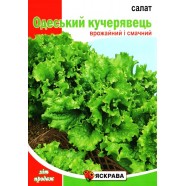 Семена салата Одесский кучерявец, 10г, ТМ Яскрава